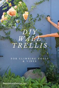 a woman standing next to a blue wall with roses on it and the words diy wall trellis for climbing roses and vines