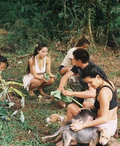 several people are sitting in the grass with two dogs and one is holding a plant