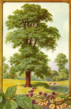 a painting of a tree with flowers in the foreground and grass on the other side