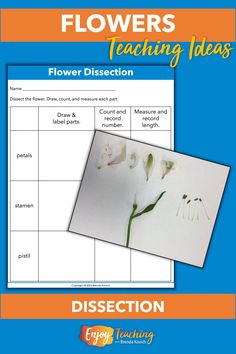 flowers teaching ideas for the classroom to help students learn how to use their flower identification