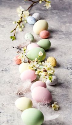 some eggs are lined up on a table with flowers and branches in the foreground