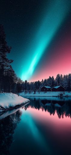 an aurora bore is reflected in the water at night, with trees and snow on the ground