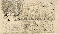 an ink drawing of trees and grass in the distance with water on it's surface