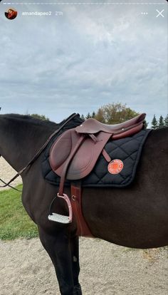 a brown horse with a saddle on it's back standing in the dirt near a field