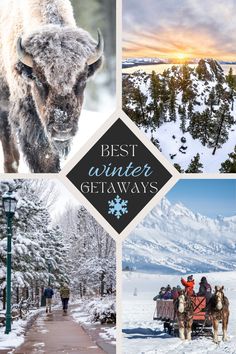 the best winter getaways in america for families and their kids are featured here