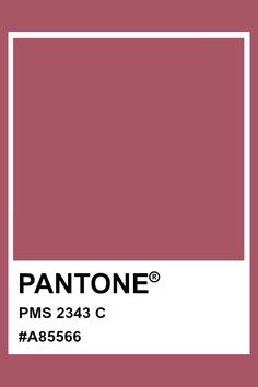 Plum Paint Colors, Rose Palette, Painting Corner, Cranberry Color, Color Chip