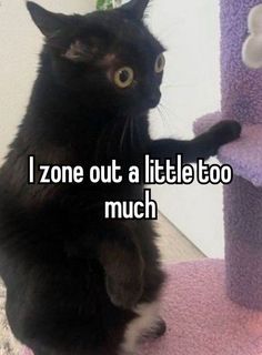 a black cat sitting on top of a scratching post with the caption i zone out a little too much