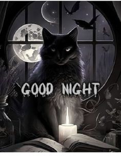 a black cat sitting on top of an open book next to a candle with the words good night written across it