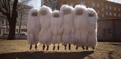 four fluffy white sheep standing in the middle of a field with buildings in the background