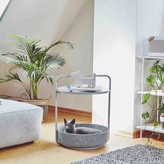 a cat is sitting in its bed on the floor next to some plants and a couch