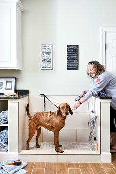 a woman is washing her dog in the kitchen