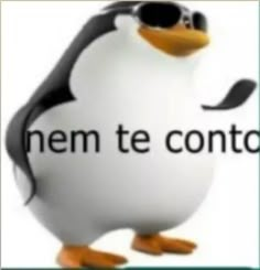 a cartoon penguin with sunglasses and the words nem te conto written on it