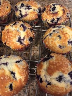 blueberry muffins cooling on a wire rack in the kitchen, ready to be eaten