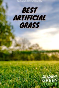 green grass with the words best artificial grass overlayed by trees and blue sky