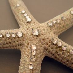 a white starfish with lots of diamonds on it