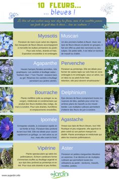 a poster with different types of flowers on it's sides, including bluebells and