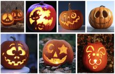 pumpkins carved to look like cats and dogs, all with different designs on them