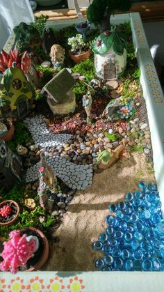 a miniature garden with rocks and plants in it