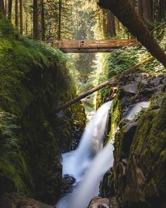 a man walking across a bridge over a river in a forest next to a waterfall