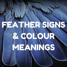 Beautiful article on #FindingFeathers - the #spiritual meaning of #feathers as #FeatherSigns & #FeatherColour meanings. #feathers #feathersynchronicities #feathercolours #feathercolourmeanings #spiritualmeaningoffeathers #spiritualfeathers #featherfinds #angelfeathers #angelsigns Black Feather Meaning, Colour Meanings, Feather Signs, Feather Tattoo Meaning