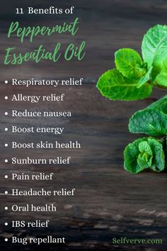 Peppermint Oil For Headaches, Benefits Of Peppermint Essential Oil, Peppermint Essential Oil Benefits, Peppermint Essential Oil Uses, Benefits Of Peppermint, Peppermint Oil Benefits, Oil For Headache, Peppermint Plants, Essential Oil Benefits