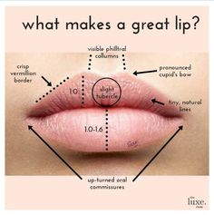 Botox Injection Sites Diagram, Lip Injections Shapes, Lip Anatomy, Lip Filler Inspiration, Luxe Room, Plastic Surgery Quotes, Botox Injection Sites, Dermal Fillers Lips, Botox Training