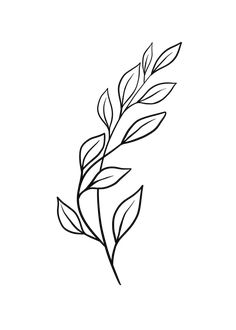 Flower Leaves Drawing, Line Art Leaf, Leaf Drawings, Leaves Outline, Print Making Designs, Illustration Leaves, Vine Drawing