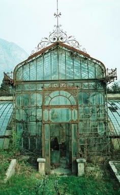 an old greenhouse with glass doors and vines growing on the roof