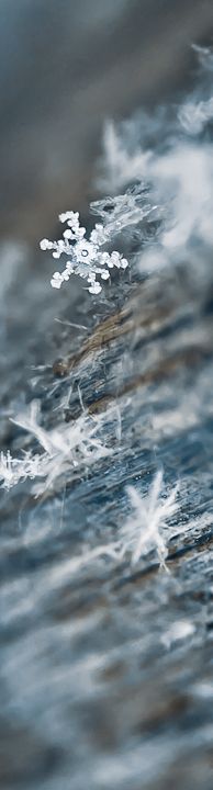 an image of water that looks like it has snow flakes on it