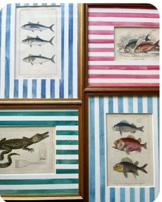 four framed pictures with different types of fish on striped paper and gold trimmings