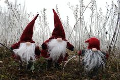 three gnomes with red and white hair are standing in the grass