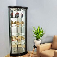 a living room with a chair, potted plant and glass display case