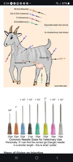 an image of a goat with different colors on it's face and the diagram below