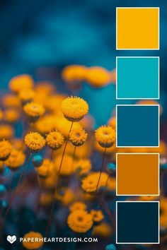 yellow flowers with blue and orange squares in the center are featured against a dark background