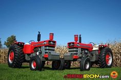 two red tractors parked in front of a corn field