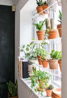 a window sill filled with potted plants next to a chalkboard wall that reads fyi window plant shelves are trending and we can see why