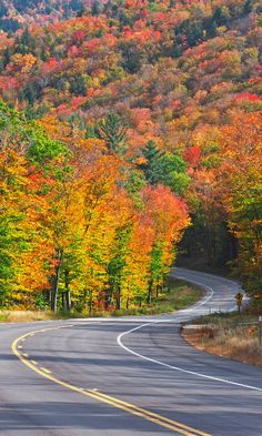 an empty road surrounded by colorful trees in the fall