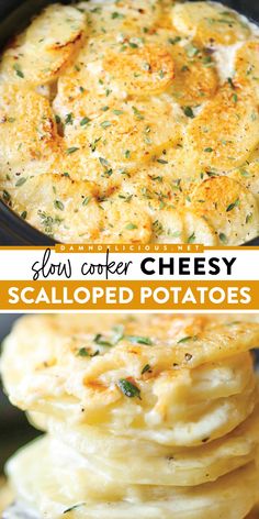 A Thanksgiving side dish idea featuring crockpot potatoes! They're also a perfect Christmas dinner recipe. Not only do these Slow Cooker Cheesy Scalloped Potatoes
 free up oven space, but they are also tender and creamy! Potato Recipes Crockpot, Slow Cooker Scalloped Potatoes, Meals Crockpot, Cheesy Scalloped Potatoes, Easy Crockpot Dinners, Scalloped Potatoes Cheesy, Scalloped Potato Recipes, Crockpot Dishes, Potato Side Dishes