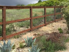 a wooden fence in the middle of a field with cacti and succulents