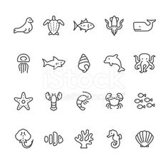 sea animals and marine life line icons