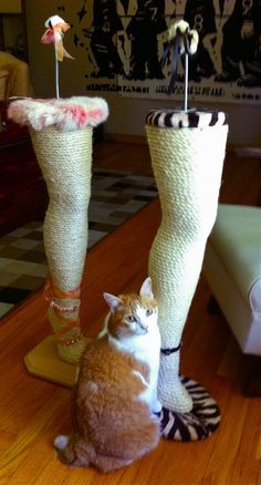 an orange and white cat sitting on top of a wooden table next to two tall vases