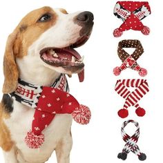 a dog with its mouth open next to several christmas decorations and ties on it's neck