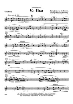 the music score for fur elise