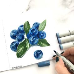 someone is painting blueberries with watercolors on paper