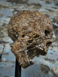 a close up of a human head on a stick