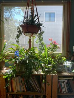 a window sill filled with potted plants next to a book shelf full of books