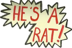 two speech bubbles that say he's a rat