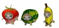 three small animals dressed in fruit like clothing, one is an alien and the other is a banana