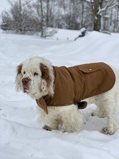 a white dog wearing a brown coat in the snow