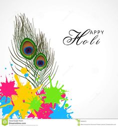 happy holi with colorful paint splashs and peacock feathers on white background stock photo